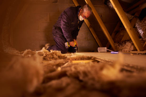 Best Residential Insulation in Elgin, SC